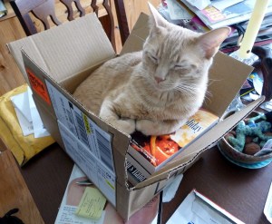 Pel in a box